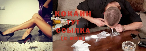 индика Алексин