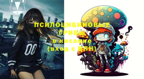 твердый Алзамай