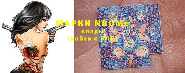 индика Алексин
