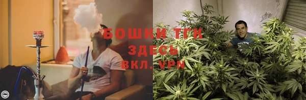 твердый Алзамай