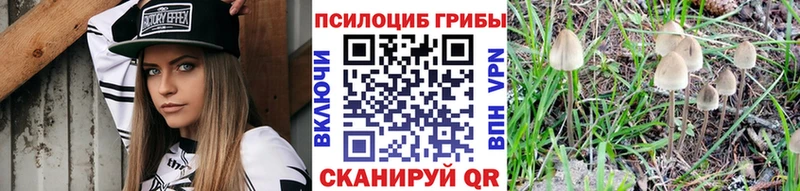 Галлюциногенные грибы Cubensis  мориарти телеграм  Междуреченск  как найти  